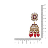 Akshi Maroon Earrings